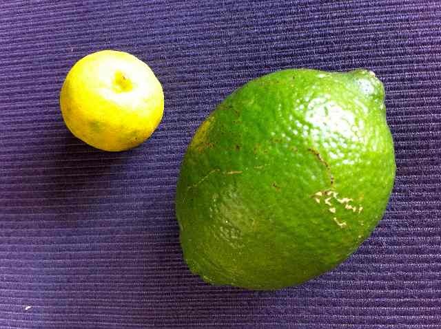 [lime and key lime[4].jpg]
