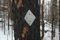 IMG_2200.jpg