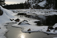 IMG_2361.jpg