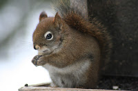 IMG_2551.jpg