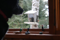 IMG_2577.jpg