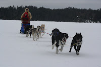 IMG_2620.jpg