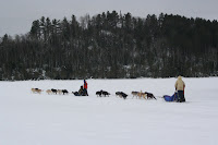 IMG_2626.jpg