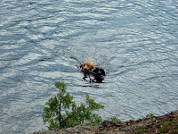 DSCF2308.JPG