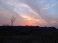 20071111_173803.JPG