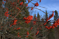 Grand_Marais_Thanksgiving_09_02 010.jpg