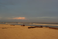 South Carolina 084.JPG