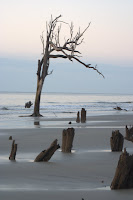 South Carolina 126.jpg
