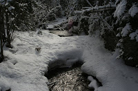 Grand Marais 041.JPG