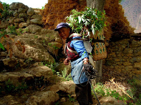 Naxi Woman