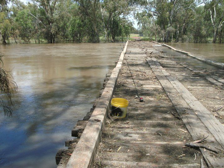 Report on Nindigully Pub Nindy