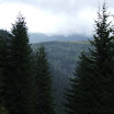 Spre Cascada Cailor - Borsa - Maramures - Romania