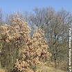 Culorile Toamnei