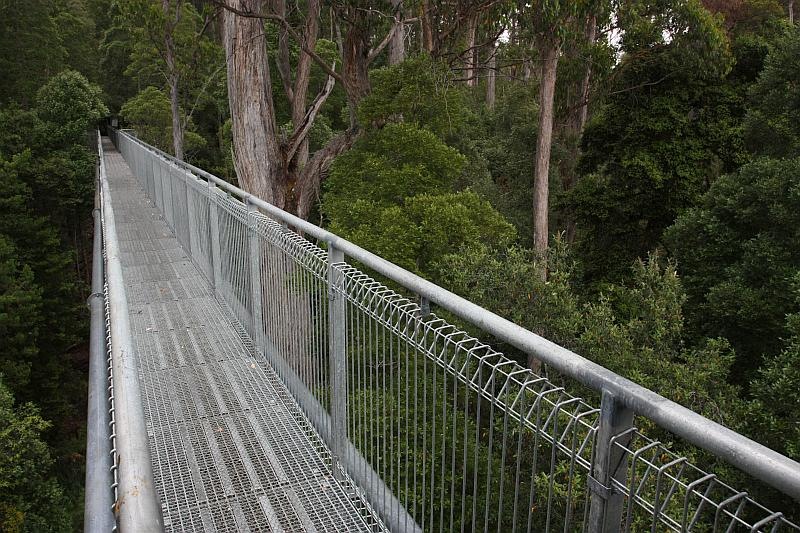 [100102_Tahune_Airwalk_Tasmania_27_sm[1].jpg]