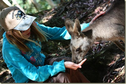 Laura feeding a Bennetts Wallaby, Trowunna Wildlife Park, Tasmania
