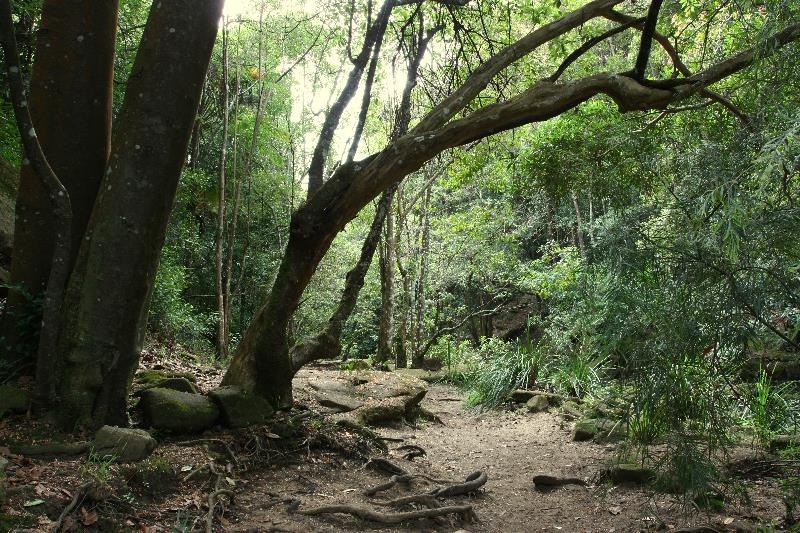 [Flat_Rock_Creek_walk_sm[3].jpg]