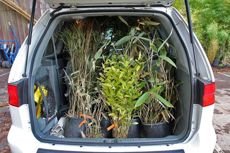 [101130_bamboosourcery_my_haul[2].jpg]