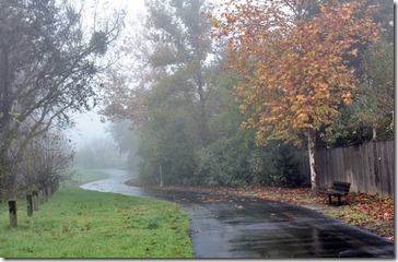 101205_fog_greenbelt2