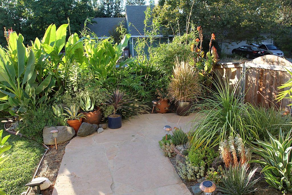 [101018_front_yard_from_front_door[2].jpg]