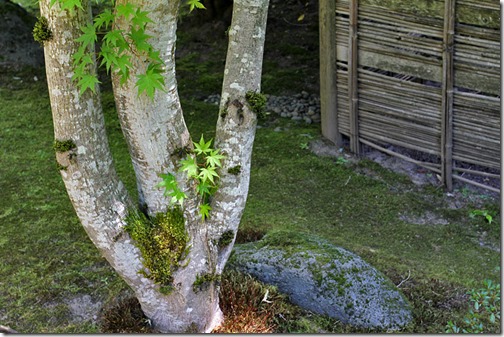 100726_Portland_Japanese_Garden_098
