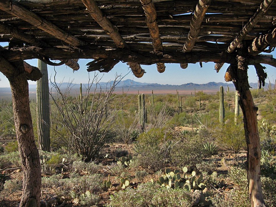 [071218_desert_museum_vista[2].jpg]