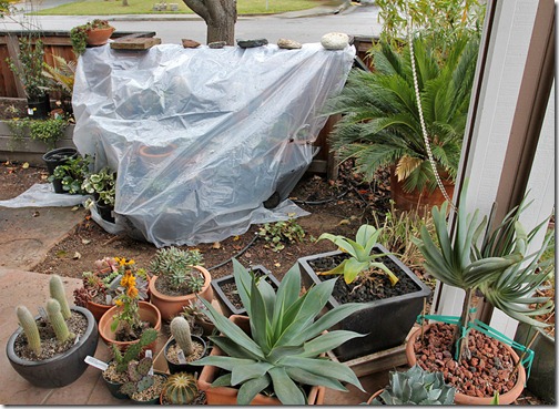 110214_tarp 110214_tarp