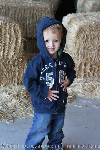[pumpkinpatch0316.jpg]