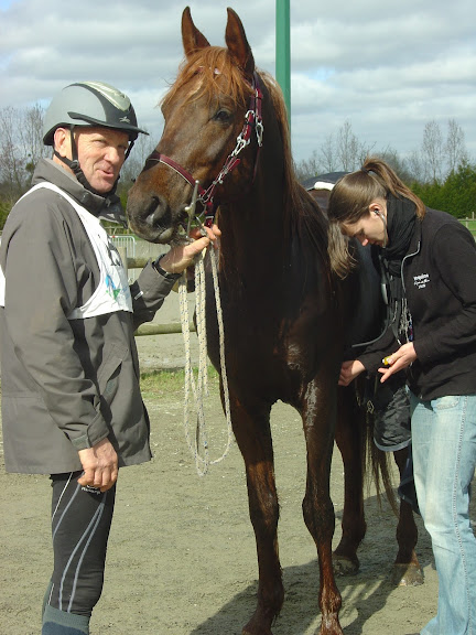Formation à l'entraînement du cheval d'Endurance - AACIV