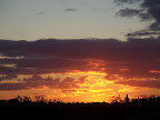 100_9029.JPG