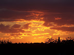 100_9030.JPG