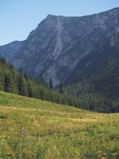 TATRA