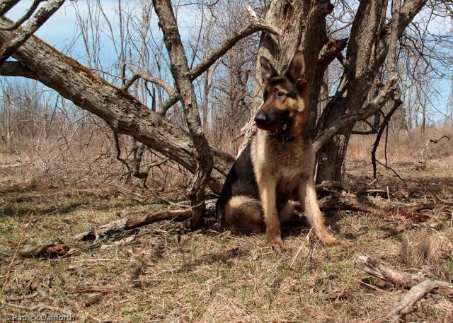 [Forest and his Kong-5[2].jpg]