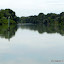 Petit Rhone river, near Arles