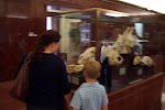 CIMG5238.JPG