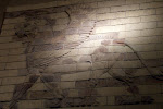 CIMG5803.JPG