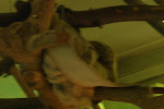 CIMG6288.JPG