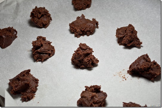 chocolate cookies-1
