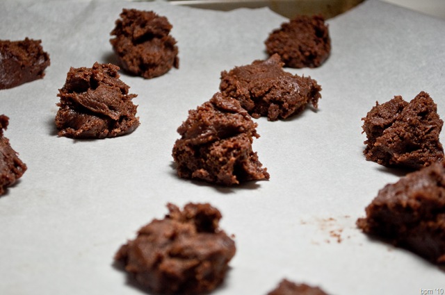 [chocolate cookies-2[2].jpg]