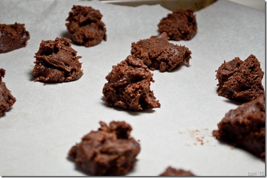 chocolate cookies-2