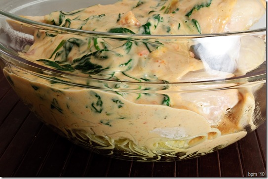 mozzarella bacon chicken-2