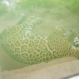 S3600067.JPG