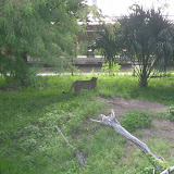 S3600023.JPG