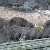 S3600031.JPG