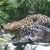 S3600057.JPG