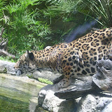 S3600056.JPG