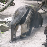 S3600059.JPG