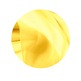 Canary Canary