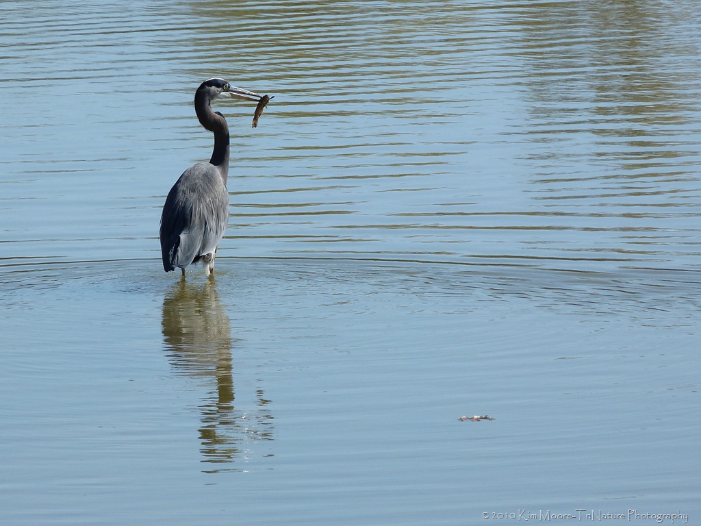 [P1010295[9].jpg]