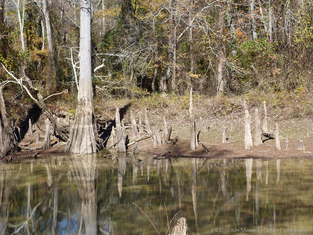 [P1010315[5].jpg]