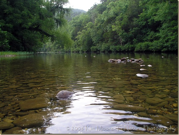 Buffalo River Buffalo River